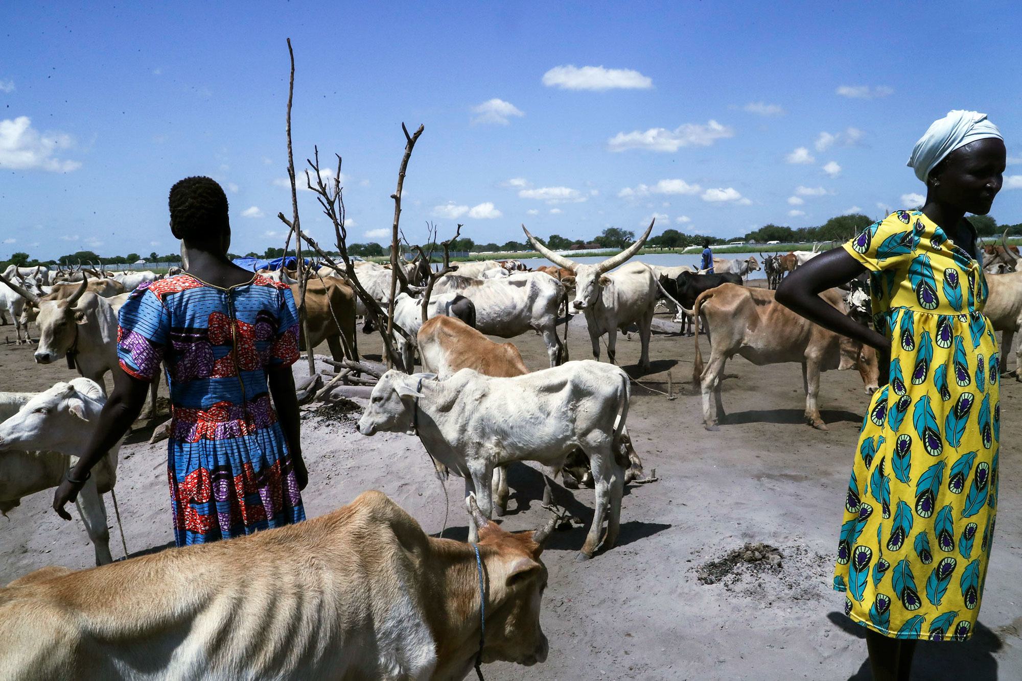 Raia Wa Sudan Kusini Walikatiliwa Na Kuuawa Zaidi Mwaka 2022 Ikilinganishwa Na 2021 Unmiss 